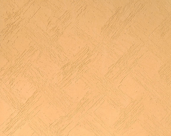 Diatom mud texture 004